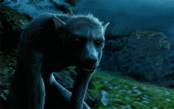 Werewolf in Harry Potter - Remus Lupin Fully Transformed