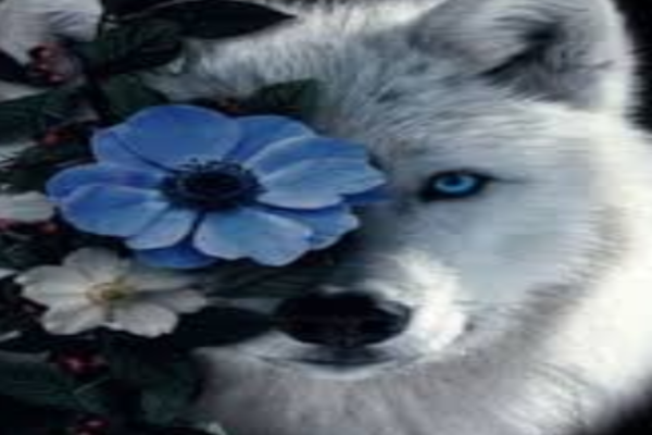 The Unloved Luna Queen Wolf Flowers